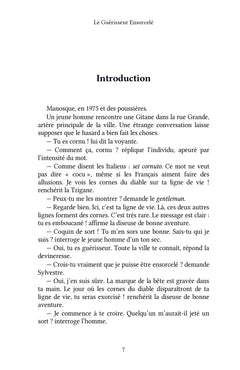 Le Guérisseur Ensorcelé