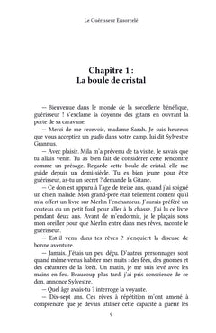 Le Guérisseur Ensorcelé