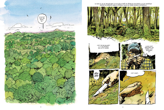 La vie secrète des arbres en BD