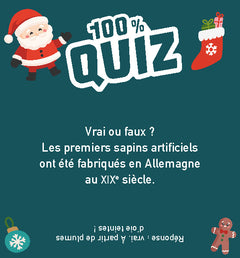 100% Quiz Noël