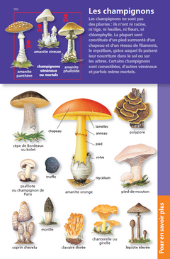 Le dictionnaire Larousse Junior et son dictionnaire en ligne - 7/11 ans - CE/CM
