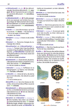 Le dictionnaire Larousse Junior et son dictionnaire en ligne - 7/11 ans - CE/CM