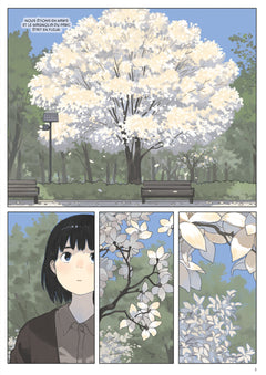 Sous un magnolia en fleur