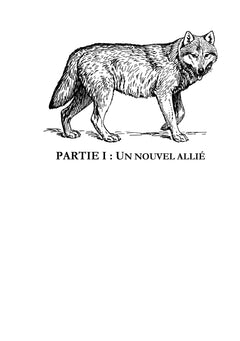 Le Secret du Faucon