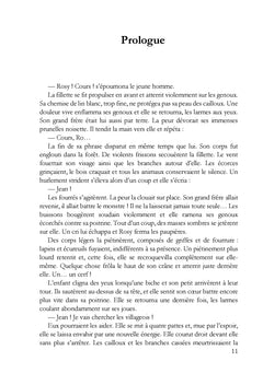 Le Secret du Faucon