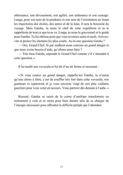 L'histoire de Gatsha et Langa