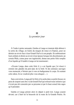L'histoire de Gatsha et Langa