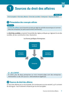DCG 2 - Droit des affaires - Fiches Réforme 2026-2027
