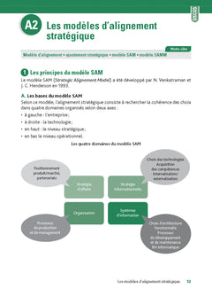 DSCG 5 Management des systèmes d'information - Fiches de révision - Réforme 2026-2027