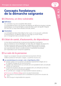 Tout le Diplôme Infirmier en fiches mémos - DEI - Nouveau programme