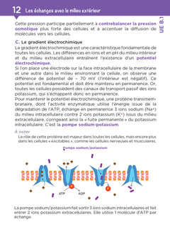L'UE B1 en fiches mémos - Sciences biomédicales - Fonctionnement du corps humain - DEI
