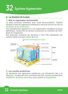 L'UE B1 en fiches mémos - Sciences biomédicales - Fonctionnement du corps humain - DEI