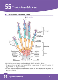 L'UE B1 en fiches mémos - Sciences biomédicales - Physiopathologie des différents systèmes - DEI