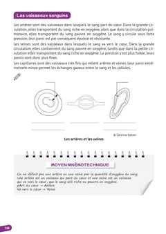 Biochimie - Biologie cellulaire - Anatomie