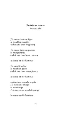 Poèmes en miroir