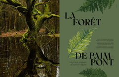 Forêts mythiques