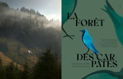 Forêts mythiques