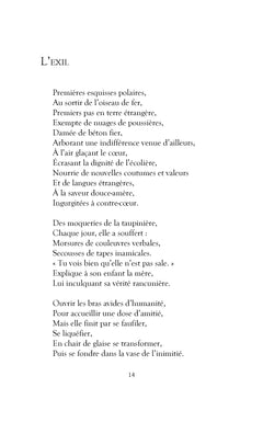 Les Déambulations d'une âme en exil