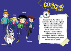 Le Club des Cinq Junior, Tome 20 - Les chatons perdus