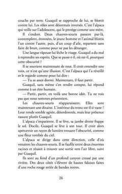 Contes de la lune triste