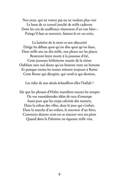 Les ombres des montgolfières