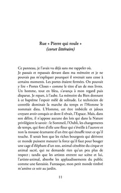 Les ombres des montgolfières