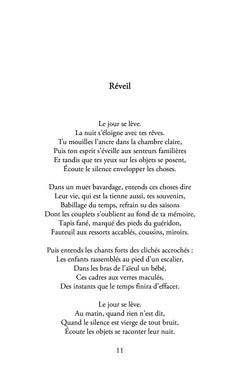 Opus incertum suivi de  Brisures