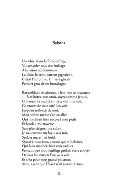 Opus incertum suivi de  Brisures