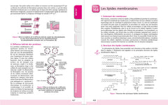 Le cours de biochimie - 3e éd
