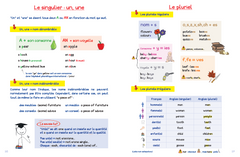 Mes fiches Illustrées d'anglais