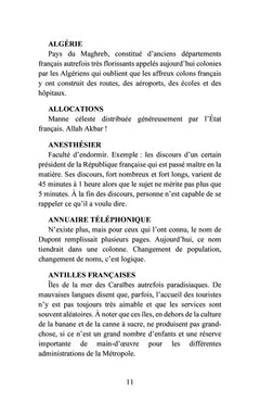 Petit dictionnaire politiquement incorrect