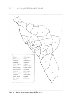 La Dynamique des enseignes à Libreville