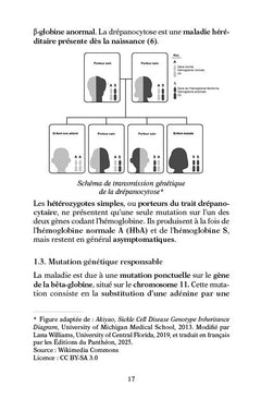 Drépanocytose et bien-être