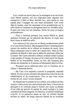 Un coup audacieux