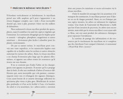 Le petit livre des champignons