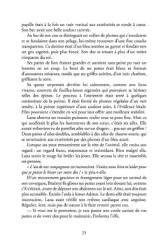 Les chroniques d'Aéthérya
