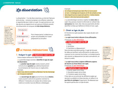 Profil - Pluie et vent sur Télumée Miracle (Bac de français 2027)