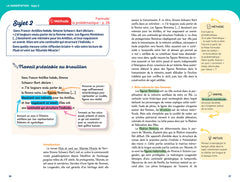 Profil - Pluie et vent sur Télumée Miracle (Bac de français 2027)