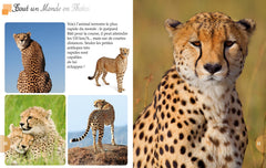 Les animaux de la savane