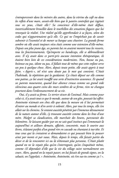 L'ours du Béal