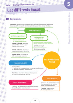 Cahier de l'étudiant.e infirmier.e - DEI - Biologie et anatomo-physiologie par le coloriage