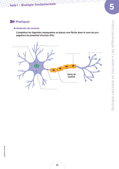 Cahier de l'étudiant.e infirmier.e - DEI - Biologie et anatomo-physiologie par le coloriage