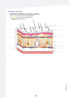 Cahier de l'étudiant.e infirmier.e - DEI - Biologie et anatomo-physiologie par le coloriage