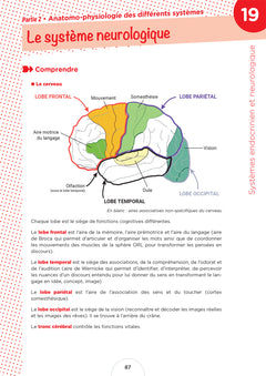 Cahier de l'étudiant.e infirmier.e - DEI - Biologie et anatomo-physiologie par le coloriage