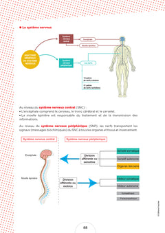 Cahier de l'étudiant.e infirmier.e - DEI - Biologie et anatomo-physiologie par le coloriage