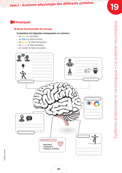 Cahier de l'étudiant.e infirmier.e - DEI - Biologie et anatomo-physiologie par le coloriage