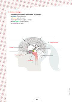 Cahier de l'étudiant.e infirmier.e - DEI - Biologie et anatomo-physiologie par le coloriage