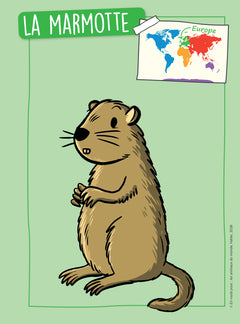 En route pour le documentaire - Cycle 2 - Les animaux du monde - Ed 2026 - Fichier enseignant