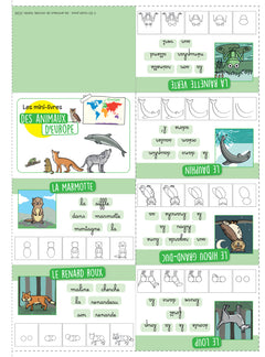 En route pour le documentaire - Cycle 2 - Les animaux du monde - Ed 2026 - Fichier enseignant