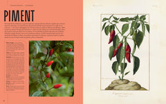 Les trésors du jardin